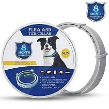 Top 9 Recommendation Thin Dog Collars For Medium Dogs For