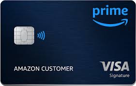 amazon visa card portfolio