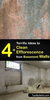 Cleaning Efflorescence Ways To Get