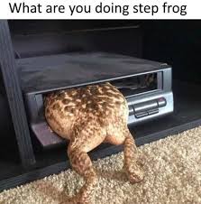 What Are You Doing Step Frog Meme
