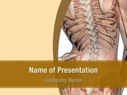 Body Muscles Powerpoint Templates Body Muscles Powerpoint