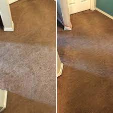 gold star carpet cleaning carpet