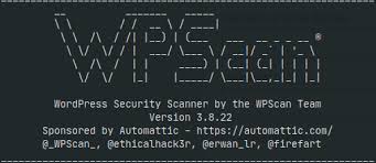 exploiting wordpress using wpscan