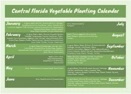 florida vegetable planting calendar