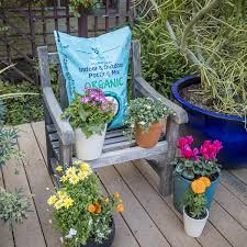 Natural Indoor And Outdoor Potting Mix