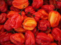 Scoville Scale For Peppers And Other Hot Chemicals