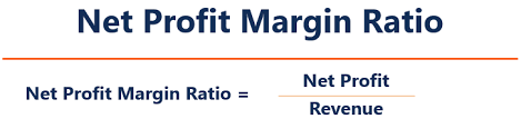 net profit margin definition formula