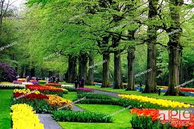 dutch spring gardens near amsterdam