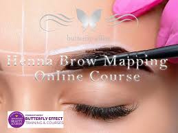 brow mapping training course