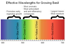 Light Spectrum Plant Growth Chart Www Bedowntowndaytona Com