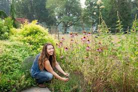 Medicinal Herb Garden Planning And