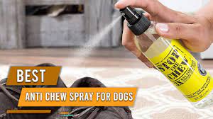anti chew spray for dogs 2023 review