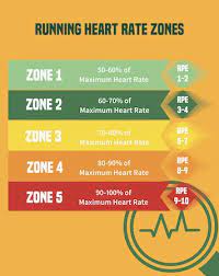 Heart Rate Zones Calculator Maximum