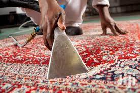 professional carpet cleaner carpet and