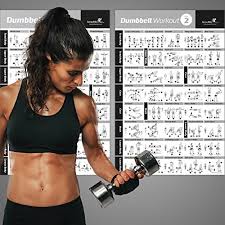 Vol 1 2 Dumbbell Exercise Poster 2 Pack Laminated Workout Strength Training Chart Build Muscle Tone Tighten Home Gym Weight Lifting Body