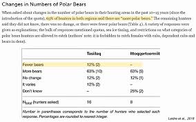 Observations Polar Bears Continue To Thrive Grow In Number