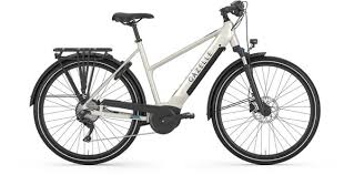 Gazelle Bikes Medeo T10 Mid-Step - Wheelworks | Belmont & Somerville Bike  Shop