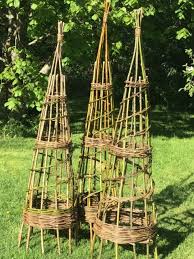 Spring Willow Weaving 12 May 2022
