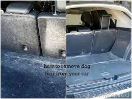 how to remove dog hair from car