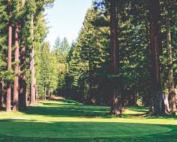 golfing visit willits california