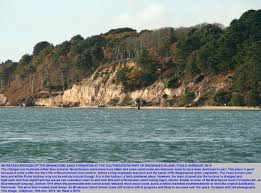 Geology Of Brownsea Island Guide By Dr Ian West