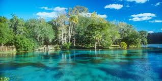 12 Natural Springs In Florida Where You