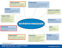 Diet For Hypothyroidism