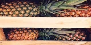 eating too many pineapples may cause