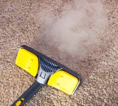 7 best carpet steam cleaners of 2023