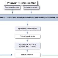 Hypertency Flow Chart Pathophysiology Of Hypertension