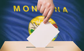 change to contentious voter id bill