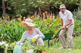 garden care tips for seniors elderly