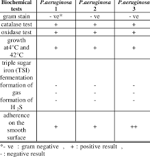 p aeruginosa isolates