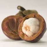 Why are mangosteen illegal in the US?