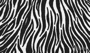 zebra fur skin seamless pattern carpet