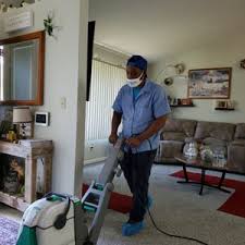 pet carpet cleaning in bloomington il