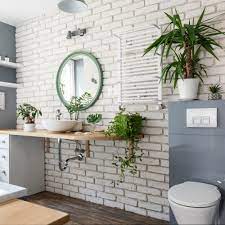 Bathroom Plants Ideas Which To Choose