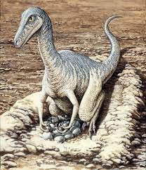 We did not find results for: Are Birds Dinosaurs New Evidence Muddies The Picture