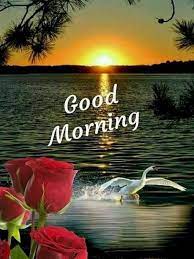 Good morning ecards can really give a great start to a day. Good Morning Flowers Picture Pour Android Telechargez L Apk