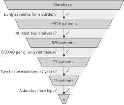 The Asbestos Fibre Burden In Human Lungs New Insights Into