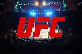 Don't miss a single strike of ufc 263, featuring the middleweight title fight between israel adesanya and marvin vettori and the flyweight title fight rematch between deiveson figueiredo and brandon moreno, live from glendale, arizona on june 12, 2021. Sn2agnahbzro8m