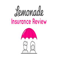The base policy pays a maximum of $2,500 per item and $10,000. Lemonade Homeowners Insurance July 2021 Checkwithreviews