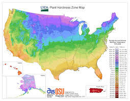 what plant hardiness zone am i in