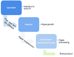 Flow Chart Of The Technology Integration Including The Three