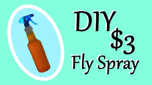 33 homemade horsefly spray recipes
