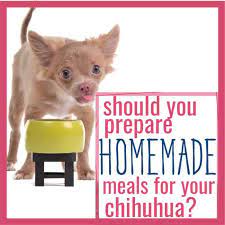 homemade meals for your chihuahua