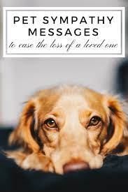 sympathy messages for the loss of a pet