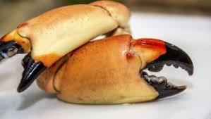 Place the pan over high heat and bring the water to a good boil. How To Cook Stone Crab Claws Ehow Com Stone Crab Claws Stone Crab Cooking Stone