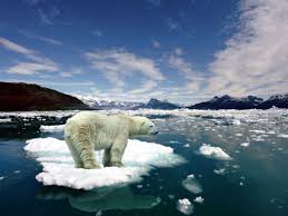 Image result for climate change