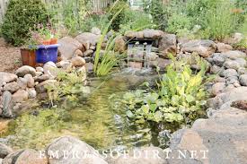 How To Build Your Own Backyard Pond